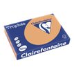 Clairefontaine Trophée - Papier couleur - A4 (210 x 297 mm) - 120 g/m² - 250 feuilles - caramel