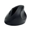 5028252602730-Kensington Pro Fit Ergo - Ensemble clavier et souris sans fil - Azerty - noir-Arrière-18