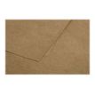 3329680291353-Pollen - 50 Feuilles papier couleur - A4 (21 x 29,7 cm) - 135 g/m² - kraft-Gros plan-1