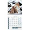 3592930027020-Calendrier illustré BOUCHUT 30 x 30 cm MON CHAT 70 %--1