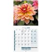 3592930027068-Calendrier illustré BOUCHUT 30 x 30 cm FLEURS 70 %--1