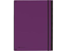 Pagna Office Trend - Trieur polypro à fenêtres 7 positions - violet