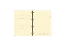 Recharge pour organiseur Timer 29 Notes - 1 semaine sur 2 pages - 21 x 29,7 cm - papier ivoire - Quo Vadis