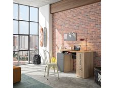 3483600773524-Bureau droit INDUS avec rangement - L. 120 x P. 55 x H. 75 cm--5
