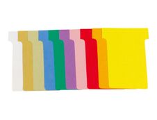 Exacompta - 100 Fiches en T - Taille 2 - coloris assortis - carton de 10 étuis
