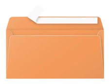 Pollen - 20 Enveloppes - 110 x 220 mm - 120 g/m² - clémentine