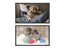 Viquel Fantaisie Animaux - Sous-main - 59,5 x 36,2 cm - PVC - Chatons / Chiots