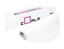 Antalis Coala - Bobine de traceur - Papier photo brillant 240 microns - Rouleau A1 (61 cm x 30 m) - 240 g/m²