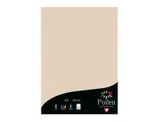 Pollen - 50 Feuilles papier couleur - A4 (21 x 29,7 cm) - 120 g/m² - ivoire