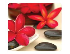 Fellowes - Tapis de souris Earth Series  - Spa