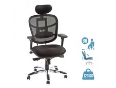 Fauteuil de bureau TECKNET - accoudoirs réglables - appuie-tête réglable - noir