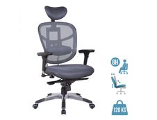 Fauteuil de bureau ergonomique TECKNET - accoudoirs réglables - appuie-tête réglable - Gris