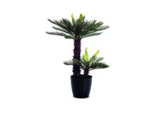 Plante artificielle cycas - hauteur 80 cm