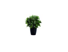 Plante artificielle laurier - hauteur 50 cm