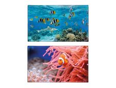 Viquel - Sous-main Poisson-clown ou Requin - 59,5 x 36,2 cm