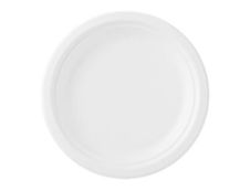 Duni ecoecho - assiette (dîner) - blanc - Taille 22 cm - jetable (pack de 50)