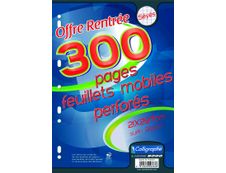Calligraphe - 300 feuilles simples A4 - grands carreaux (Seyes) - perforées