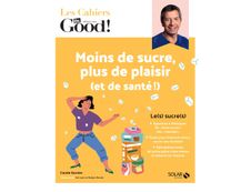 Les cahiers Dr Good : moins de sucre plus de plaisir et de santé
