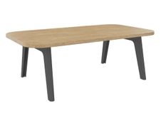 Table basse ILO - L114xP67xH39 cm - pieds carbone - finition chêne clair