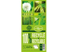 La Couronne - 50 Enveloppes recyclées DL 110 x 220 mm - 80 gr - blanc - auto-adhésive