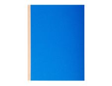 Exacompta Forever - 10 Chemises à soufflet - 320 gr - couleurs assorties