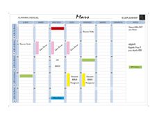 Exacompta - Planning mensuel magnétique - effaçable à sec - 90 x 59 cm