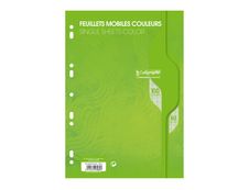Calligraphe - 100 feuilles simples A4 - grands carreaux (Seyes) - perforées - vert