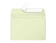 Pollen - 20 Enveloppes - 114 x 162 mm - 120 g/m² - vert bourgeon