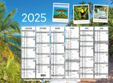 Quo Vadis - Calendrier Fantaisie 6 mois par face - 55 x 40,5 cm - évasion