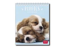 Legami Photo Collection - Calendrier 2024 - 12 x 14,5 cm - chiots