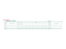 Exacompta - Journal de caisse ou banque - 17 débits/9 crédits - 29,7 x 38 cm - 80 pages
