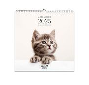 Quo Vadis - Calendrier à feuilles Animaux - 30 x 30 cm