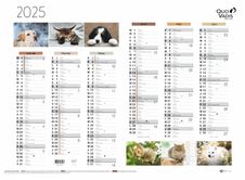 Quo Vadis - Calendrier Fantaisie 6 mois par face - 55 x 40,5 cm - animaux