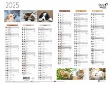 Quo Vadis - Calendrier Fantaisie 6 mois par face - 27 x 21 cm - animaux