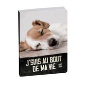 Agenda Funny Pets - 1 jour par page - 12 x 18 cm - chiot - Exacompta
