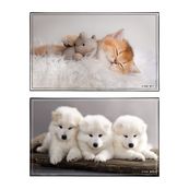 Sous-main Animaux Chaton + Chiots - 59,5 x 36,2 cm - Assortis - Viquel