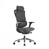Fauteuil de bureau EGOSTAR Ultra - accoudoirs réglables - Appui-tête réglable - noir