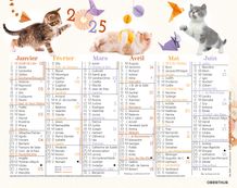 Mini calendrier illustré - 6 mois par face - 13,5 x 17,5 cm - différents modèles disponibles - Oberthur