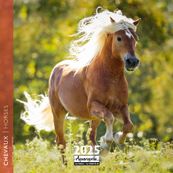 Calendrier mensuel 30x30 cm - 16 mois - Chevaux