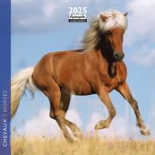 Calendrier mensuel 16x16 cm - 16 mois - Chevaux