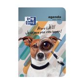 Agenda Funny Pets - 1 jour par page - 12 x 18 cm - chien loup - Hamelin