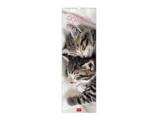 Calendrier mensuel 2024 - 16 x 49 cm - chatons
