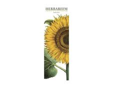 Legami - Calendrier mensuel 2024 - 16 x 49 cm - herbier