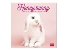 Legami - Calendrier mensuel 2024 - 18 x 18 cm - lapin en peluche 