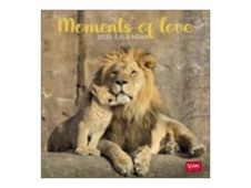 Legami - Calendrier mensuel 2024 - 18 x 18 cm - moments d'amour 