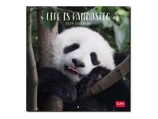 Legami - Calendrier mensuel 2024 - 18 x 18 cm - life is pandastic 