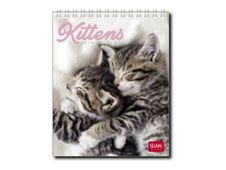 Legami Photo Collection - Calendrier 2024 - 12 x 14,5 cm - chatons
