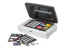 Epson Expression 12000XL Pro - scanner à plat A3 - 2400 dpi x 4800 dpi - USB 2.0