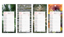 Calendrier Lecas long - mensuel à feuillets - 16 x 33,3 cm - disponible dans différentes couleurs