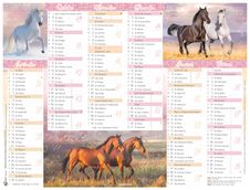 Calendrier Cheval - 6 mois par face - 40,5 x 55 cm - Oberthur